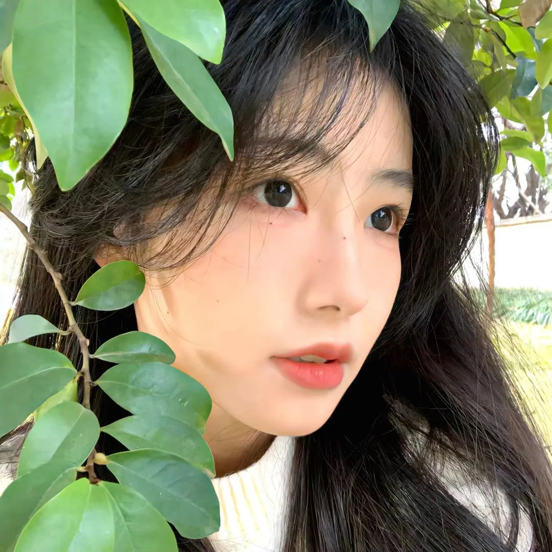 极地营救